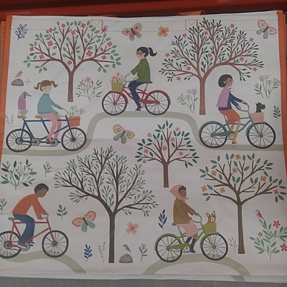 Reusable Bag